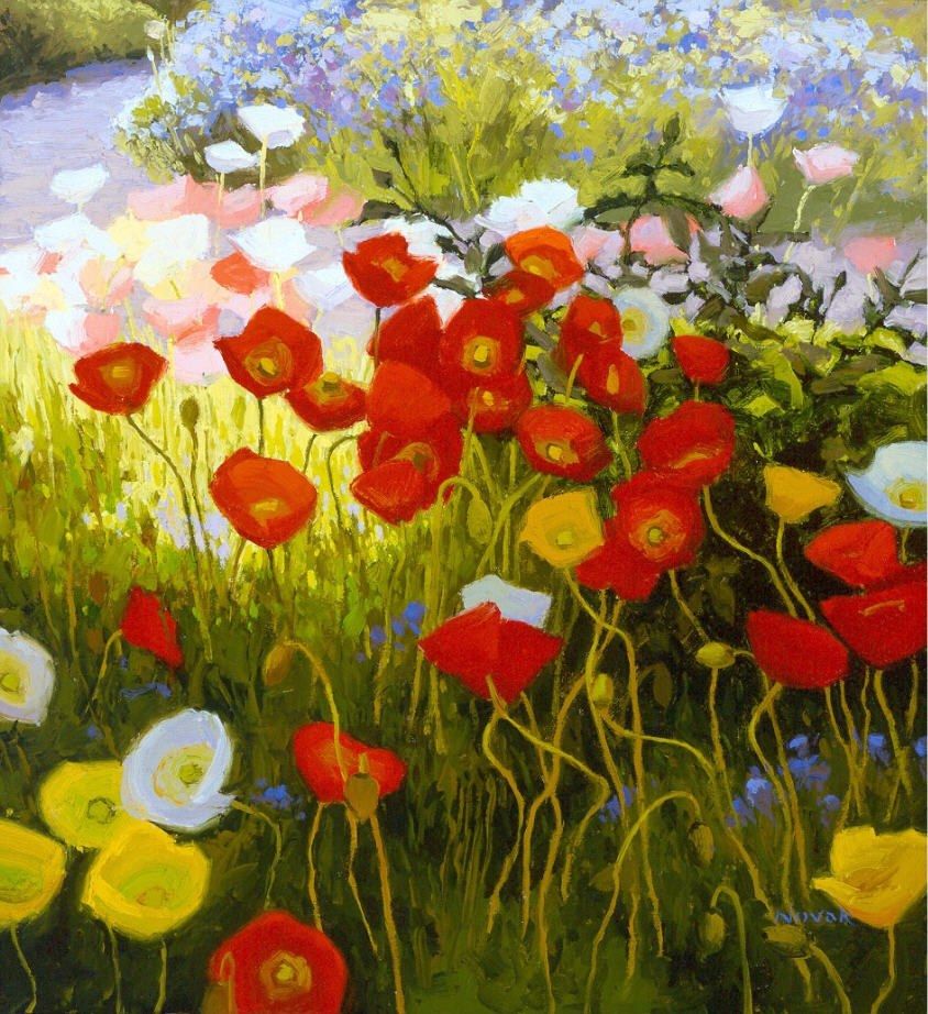 Shirley Novak Shadow Poppies, Sunlit Poppies